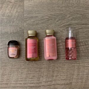 ✨ Bath & Body Works Champagne Toast Bundle ✨